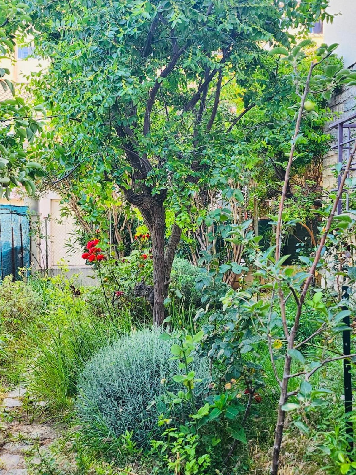 Appartement Paisible Pour 4 Personnes Montpellier Exterior foto